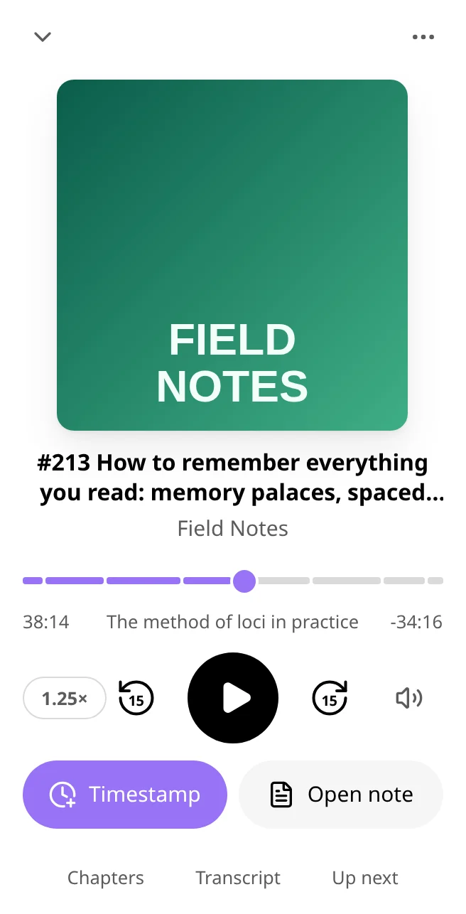 The full player on a phone: artwork, title, a progress bar split into chapters, playback controls, Timestamp and Open note, and the panel buttons